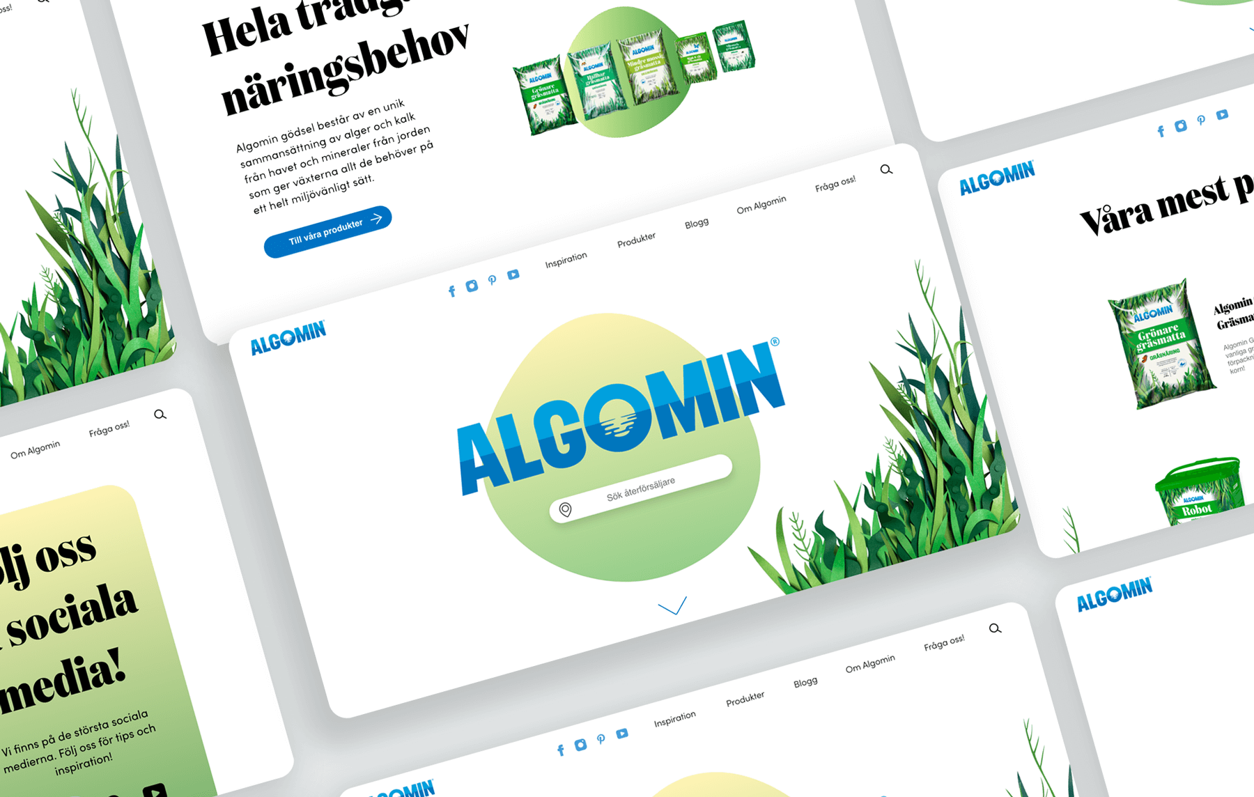 Algomin landing page